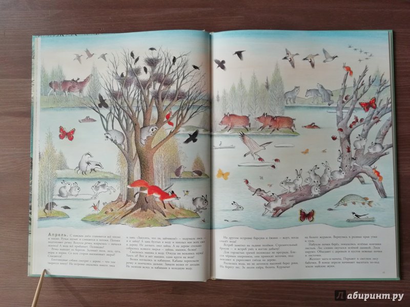 Иллюстрация 74 из 109 для В лесу - Петр Багин | Лабиринт - книги. Источник: Гошева  Елена