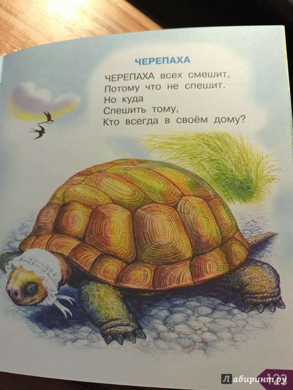 Черепаха рассказ 3 класс. Стих про черепашку. Стих про черепаху. Стих про черепаху для детей. Стишок про черепашку для малышей.