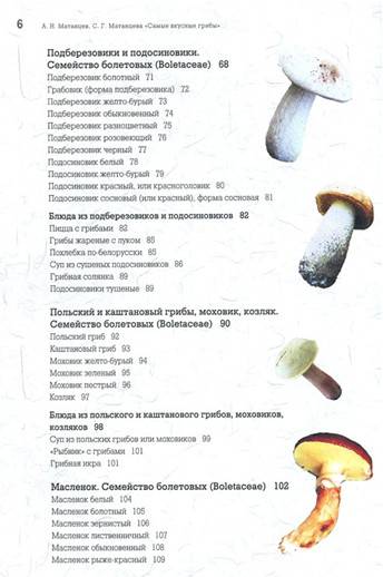 Иллюстрация 16 из 24 для Самые вкусные грибы - Матанцев, Матанцева | Лабиринт - книги. Источник: Золотая рыбка