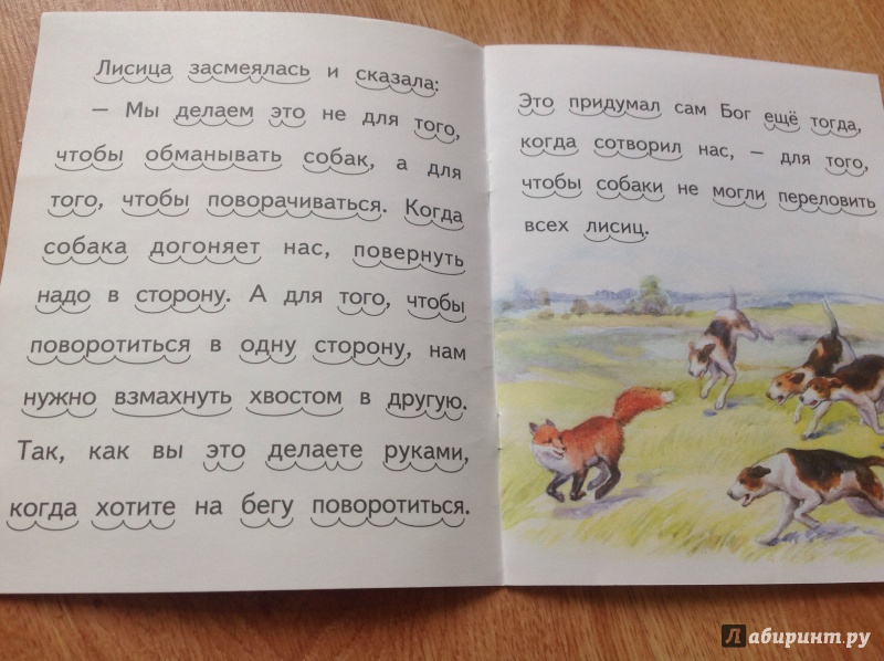 Иллюстрация 2 из 22 для Лисий хвост - Лев Толстой | Лабиринт - книги. Источник: Буторина  Маргарита