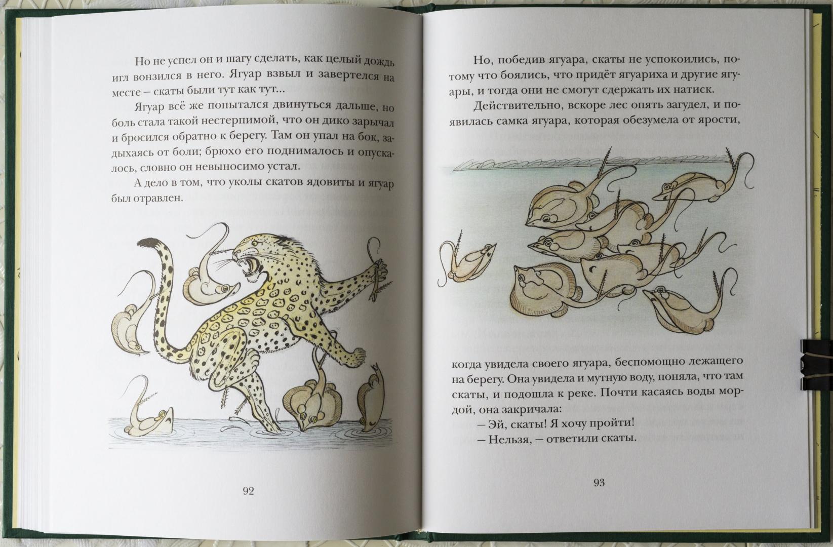 Иллюстрация 29 из 73 для Сказки сельвы: сказки о животных - Орасио Кирога | Лабиринт - книги. Источник: kvinden