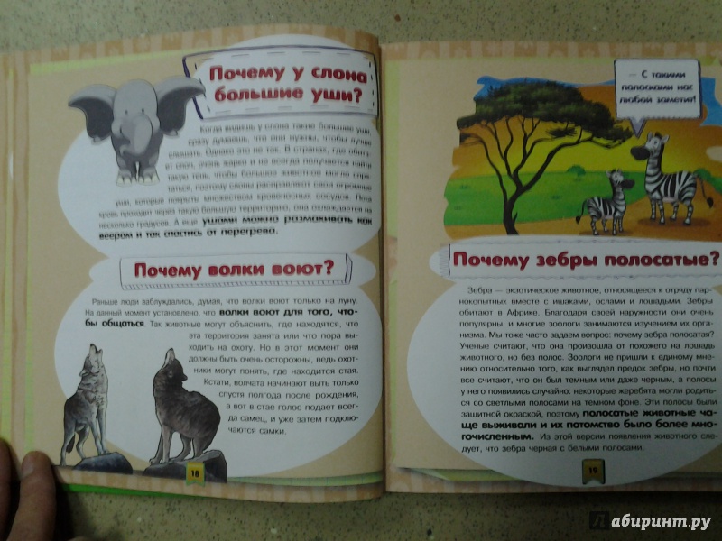 Иллюстрация 19 из 25 для Почемучки, а вы знаете, что… - Андрей Мерников | Лабиринт - книги. Источник: Olga