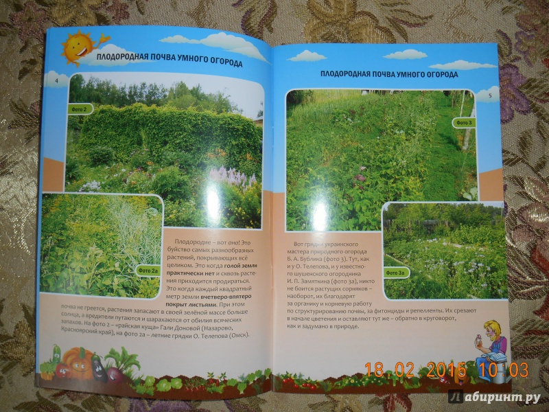 Иллюстрация 4 из 16 для Плодородная почва умного огорода - Николай Курдюмов | Лабиринт - книги. Источник: Ультрамарин
