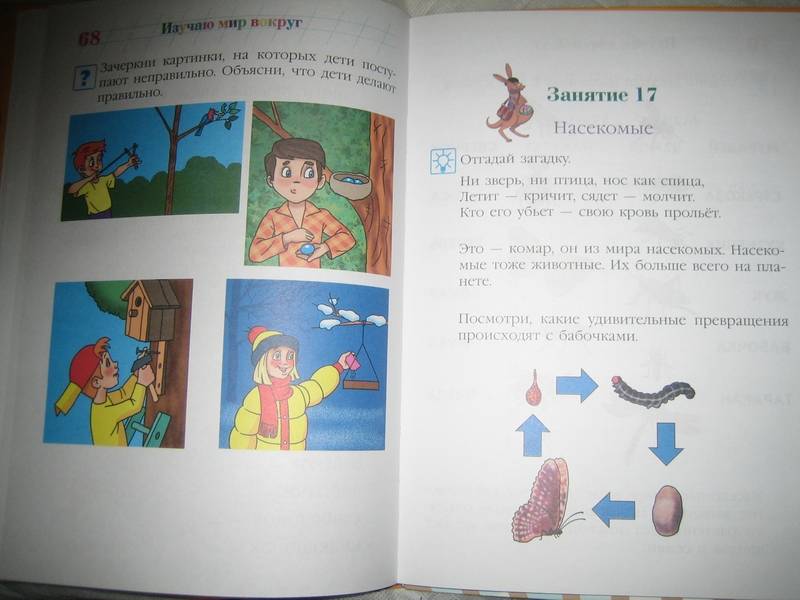 Иллюстрация 67 из 81 для Изучаю мир вокруг: для одаренных детей 5-6 лет - Валентина Егупова | Лабиринт - книги. Источник: Nnatali