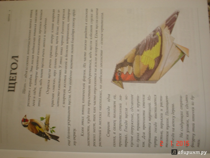 Иллюстрация 6 из 30 для Оригами. Волшебство из бумаги. Книга 3 | Лабиринт - книги. Источник: Дева НТ