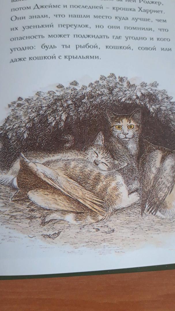 Иллюстрация 49 из 59 для Крылатые кошки - Гуин Ле | Лабиринт - книги. Источник: Лабиринт