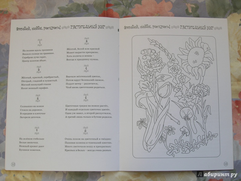 Иллюстрация 4 из 7 для Отгадай, найди, раскрась! Растительный мир. Развивающая книжка-раскраска - Виталий Тунников | Лабиринт - книги. Источник: sit_mama