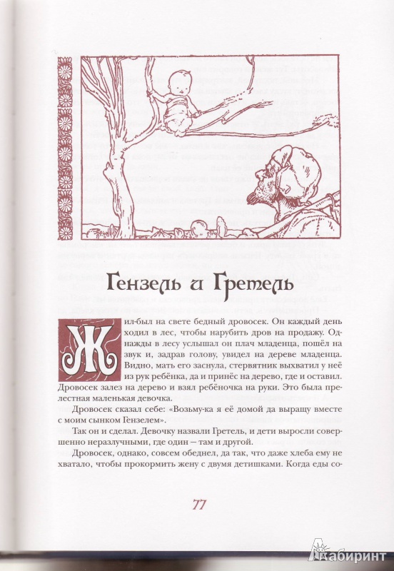 Иллюстрация 20 из 63 для Волшебный край короля Оберона | Лабиринт - книги. Источник: Трубадур