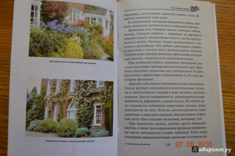 Иллюстрация 18 из 22 для Вертикальное озеленение в саду, во дворе - Александр Карпов | Лабиринт - книги. Источник: Белоус Марина