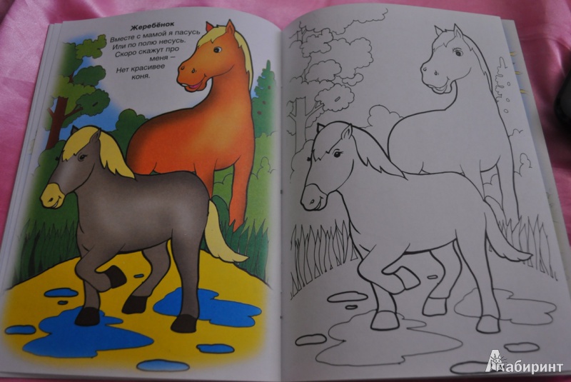 Иллюстрация 6 из 8 для Детки животных - Виктор Хесин | Лабиринт - книги. Источник: mashikmur