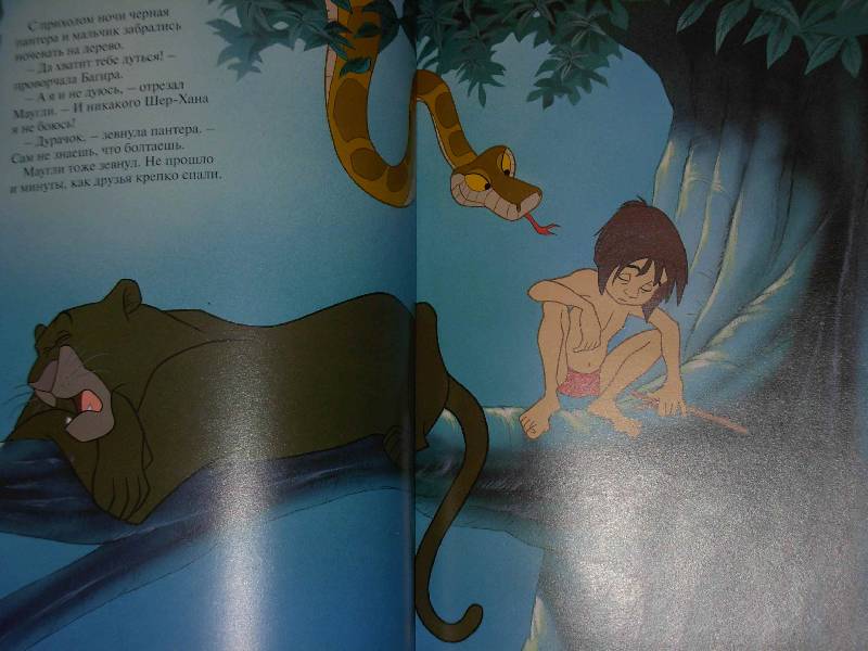 Иллюстрация 19 из 21 для Книга джунглей | Лабиринт - книги. Источник: ---Марго----