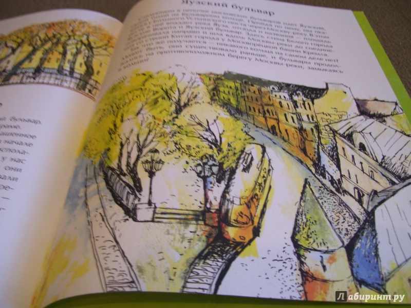 Иллюстрация 26 из 45 для Бульварное кольцо - Лариса Скрыпник | Лабиринт - книги. Источник: КошкаПолосатая