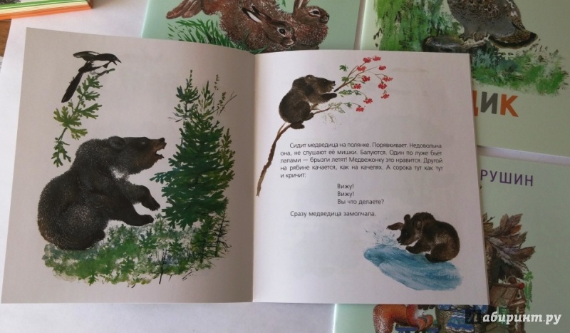 Иллюстрация 12 из 21 для Комплект "Книжки о зверятах" (4 книги) - Евгений Чарушин | Лабиринт - книги. Источник: Бог в помощь