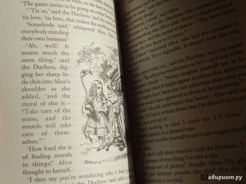 Иллюстрация 22 из 31 для Alice in Wonderland & Through the Looking-Glass - Lewis Carroll | Лабиринт - книги. Источник: komer45