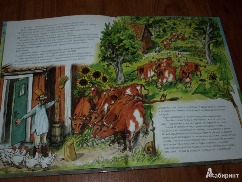 Иллюстрация 24 из 64 для Переполох в огороде - Свен Нурдквист | Лабиринт - книги. Источник: Гусева  Анна Сергеевна