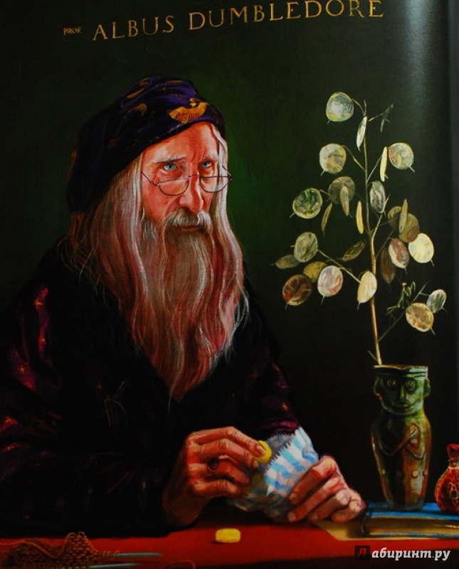 Иллюстрация 90 из 127 для Гарри Поттер и Философский камень (с цветными иллюстрациями) - Джоан Роулинг | Лабиринт - книги. Источник: romashka:-)