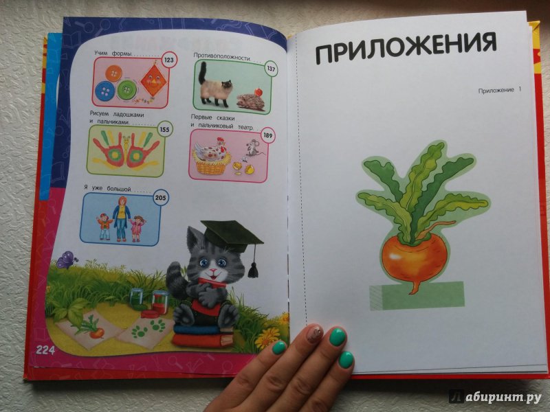 Иллюстрация 67 из 174 для Годовой курс занятий. Для детей 1-2 лет - Далидович, Мазаник, Цивилько | Лабиринт - книги. Источник: alisabusinka