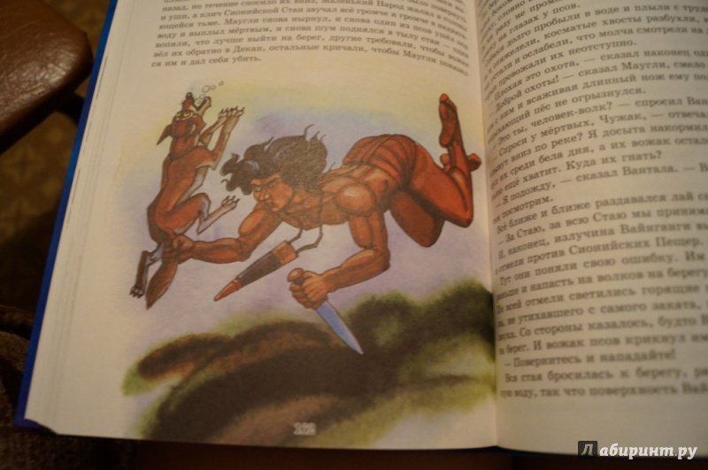 Иллюстрация 54 из 64 для Маугли - Редьярд Киплинг | Лабиринт - книги. Источник: Тухкина  Евгения