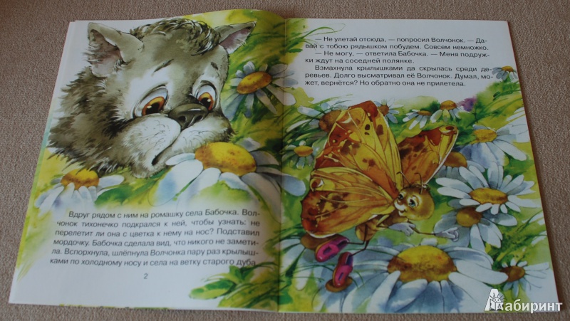 Иллюстрация 4 из 22 для Про маленького волчонка - Дмитрий Харченко | Лабиринт - книги. Источник: Книжный кот