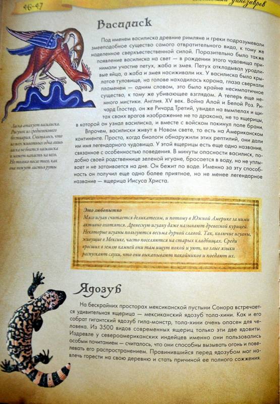 Иллюстрация 22 из 31 для Животные в мифологии - Андрей Гапченко | Лабиринт - книги. Источник: Ассоль