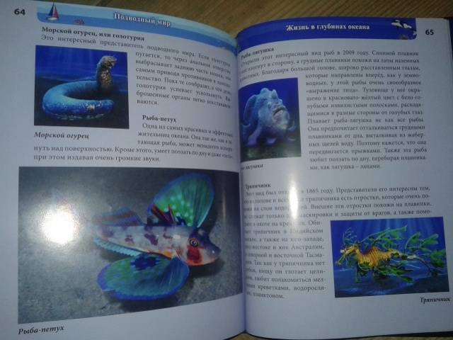 Иллюстрация 61 из 77 для Хочу знать. Подводный мир - Наталья Кульмина | Лабиринт - книги. Источник: Алёнка