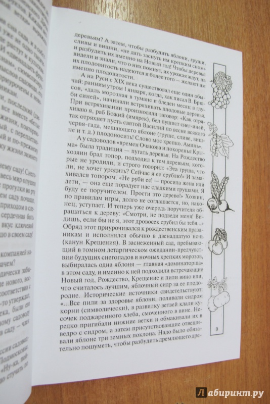 Иллюстрация 7 из 9 для Сад и огород для самых умных - Валентина Бурова | Лабиринт - книги. Источник: Hitopadesa