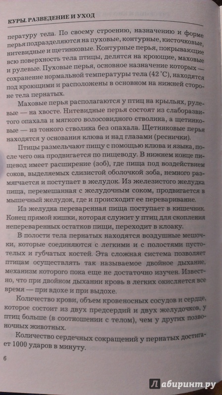 Иллюстрация 7 из 36 для Куры. Разведение и уход - Юлия Сергиенко | Лабиринт - книги. Источник: Подмосковная панда