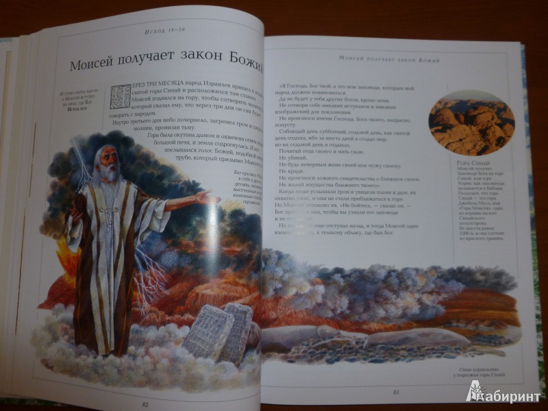 Иллюстрация 14 из 32 для Иллюстрированная Библия для детей - Селина Гастингс | Лабиринт - книги. Источник: дева