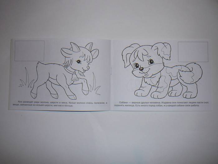 Иллюстрация 11 из 27 для Раскраска с наклейками Домашние животные | Лабиринт - книги. Источник: Анна Ванна