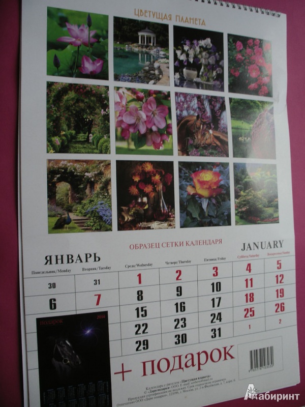Иллюстрация 15 из 16 для Календарь на 2014 год "Цветущая планета" | Лабиринт - сувениры. Источник: Tiger.