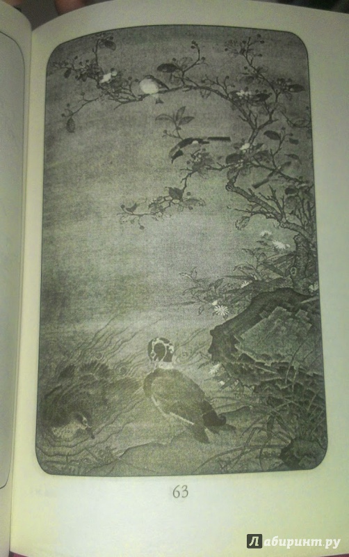 Иллюстрация 3 из 9 для Лирика - Мацуо Басё | Лабиринт - книги. Источник: Annexiss
