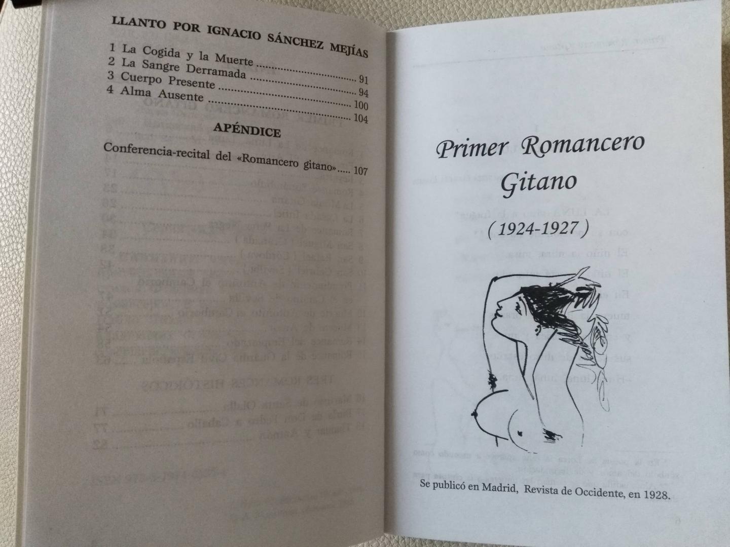 Иллюстрация 14 из 18 для Romancero Gitano - Federico Lorca | Лабиринт - книги. Источник: Савельева  Ольга