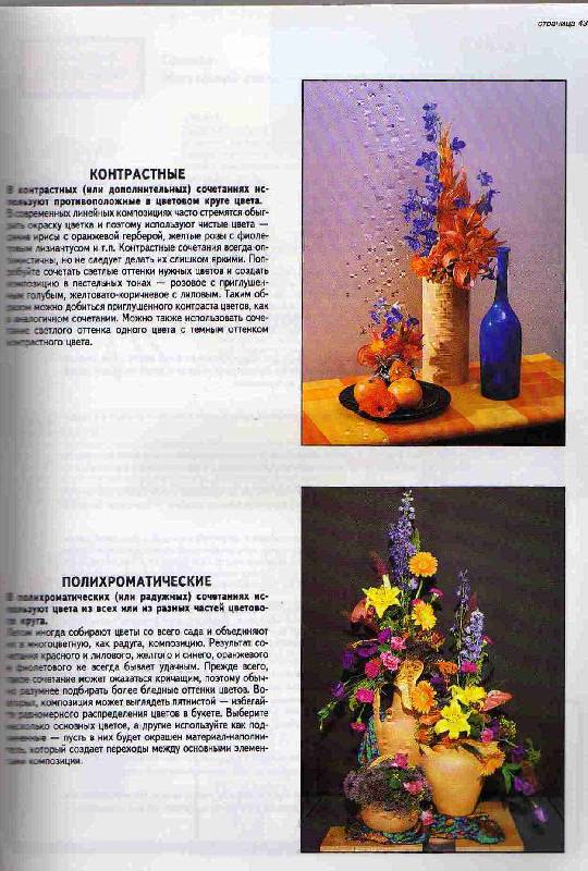 Иллюстрация 18 из 20 для Все об аранжировке цветов - Дэвид Хессайон | Лабиринт - книги. Источник: С  М В