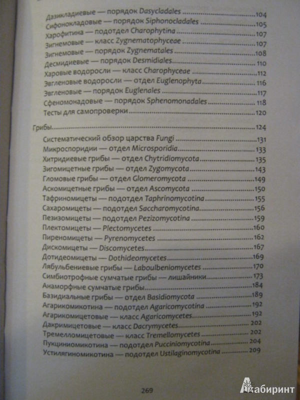 Иллюстрация 14 из 47 для Биологическое разнообразие: водоросли и грибы - Мухин, Третьякова | Лабиринт - книги. Источник: Евгения39