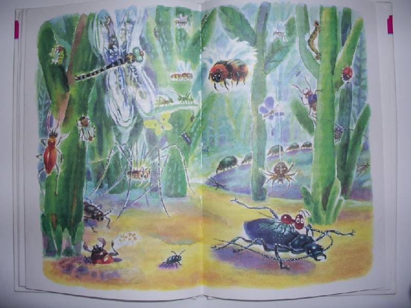 Иллюстрация 19 из 27 для Рассказы и сказки - Виталий Бианки | Лабиринт - книги. Источник: Tiger.