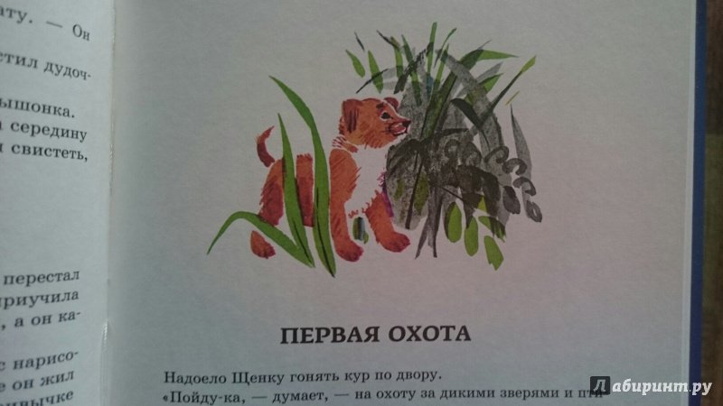 Иллюстрация 11 из 33 для Красная горка - Виталий Бианки | Лабиринт - книги. Источник: Кошлева  Анна