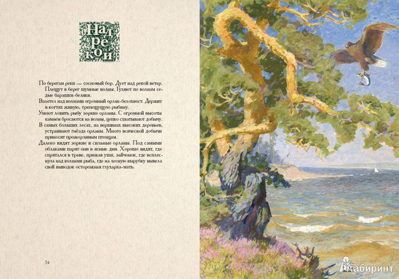 Иллюстрация 20 из 69 для Год в лесу - Иван Соколов-Микитов | Лабиринт - книги. Источник: mif