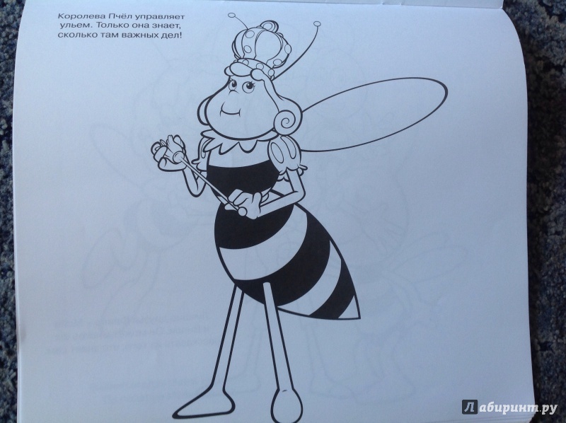 Иллюстрация 6 из 7 для Пчёлка Майя. Моя большая раскраска (№1422) | Лабиринт - книги. Источник: Кононова Мария