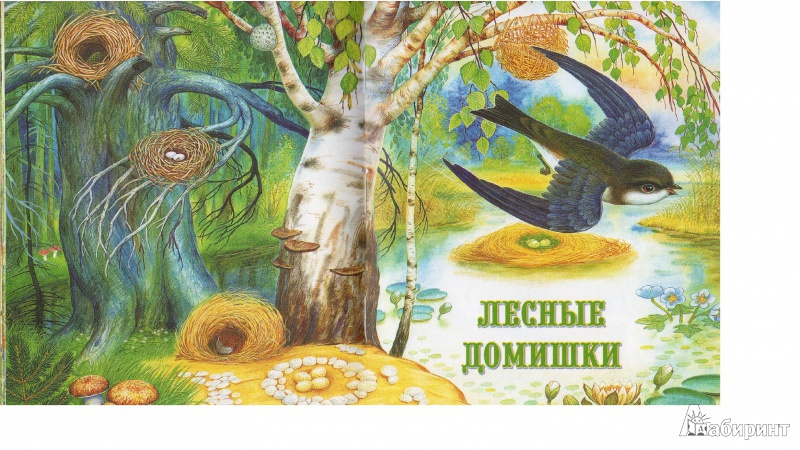 Иллюстрация 2 из 43 для Сказки лесной опушки - Бианки, Сладков, Пришвин, Шим | Лабиринт - книги. Источник: Fish-ечка