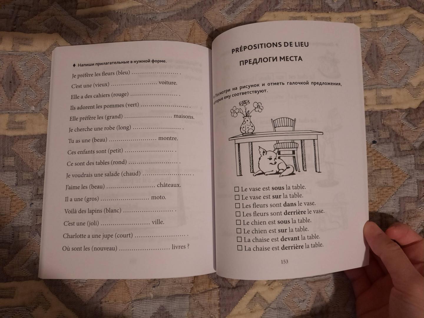Иллюстрация 35 из 37 для Грамматика французского языка для младшего школьного возраста. 2-3 классы - Анна Иванченко | Лабиринт - книги. Источник: Damir87
