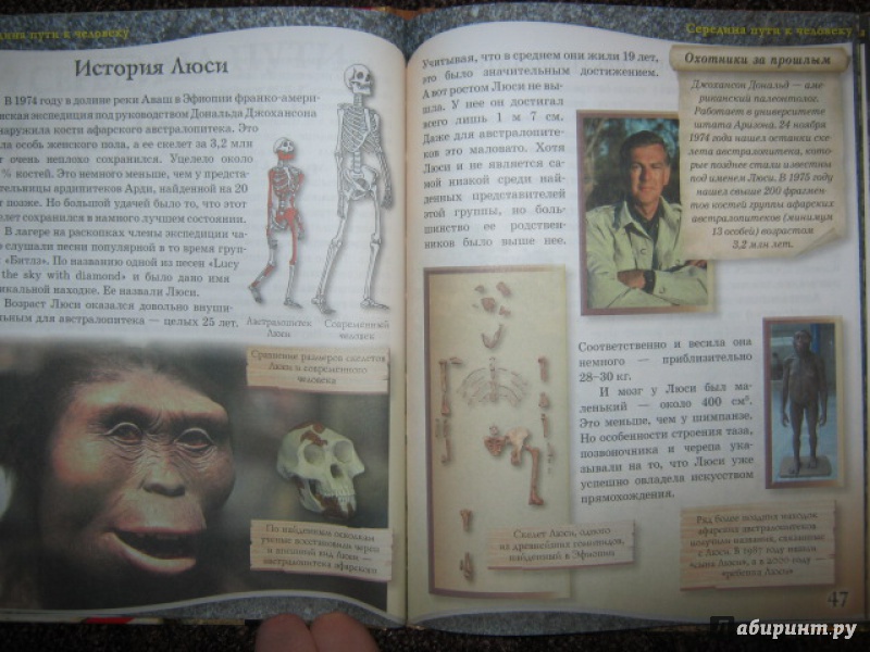 Иллюстрация 21 из 27 для От обезьяны к человеку - К. Задорожный | Лабиринт - книги. Источник: Евгения39