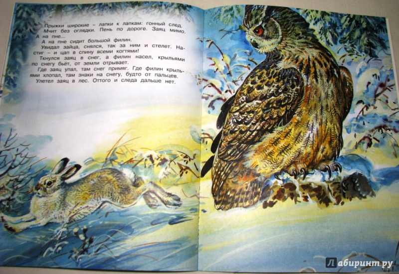 Иллюстрация 24 из 54 для Кузя двухвостый - Виталий Бианки | Лабиринт - книги. Источник: Бог в помощь