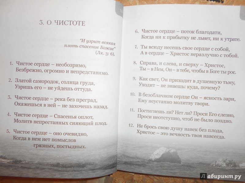 Иллюстрация 4 из 5 для Увещевание ко спасению или время созидать самих себя - Симеон Монах | Лабиринт - книги. Источник: Щипанова  Елена