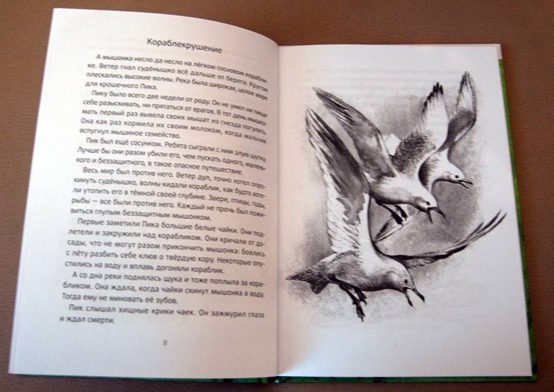Иллюстрация 3 из 9 для Мышонок Пик - Виталий Бианки | Лабиринт - книги. Источник: Корнеева Анастасия Сергеевна