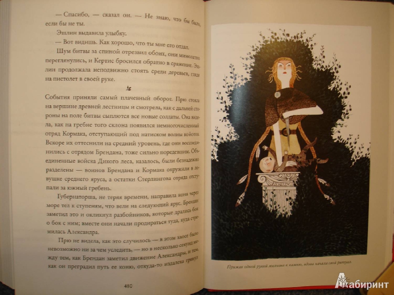 Иллюстрация 15 из 27 для Дикий лес - Колин Мэлой | Лабиринт - книги. Источник: Сорокина  Лариса