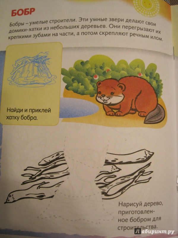 Иллюстрация 15 из 31 для Домики животных | Лабиринт - книги. Источник: Наталья