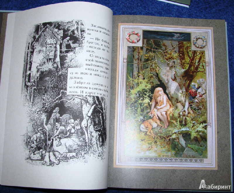 Иллюстрация 7 из 30 для Сказки - Гримм Якоб и Вильгельм | Лабиринт - книги. Источник: reader*s