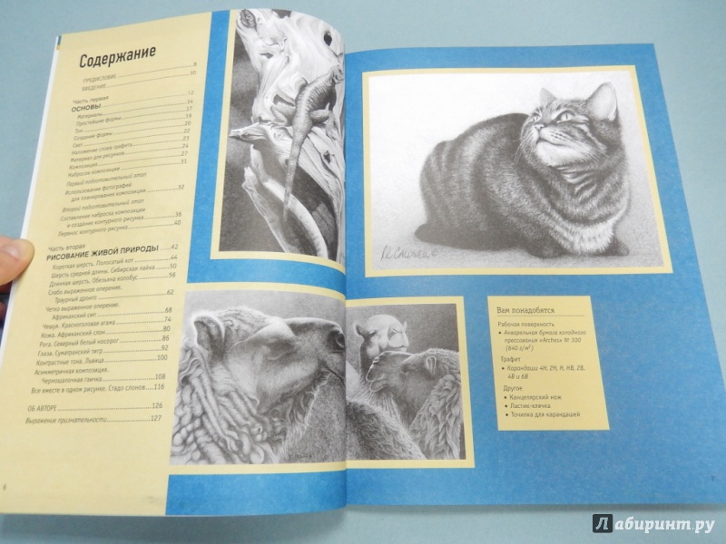 Иллюстрация 3 из 21 для Реалистичные рисунки животных - Роберт Колдуэлл | Лабиринт - книги. Источник: dbyyb