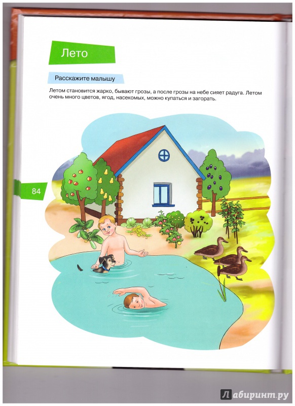 Иллюстрация 3 из 5 для Изучаем мир. Развивающие игры и задания для детей 2-3 лет - Софья Литвиненко | Лабиринт - книги. Источник: Адиса