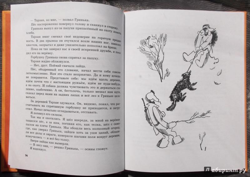 Иллюстрация 39 из 39 для О Гриньке, о Саньке и немного о девчонках - Варлаам Рыжаков | Лабиринт - книги. Источник: Агаточка
